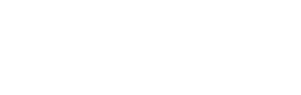 Leaders For Impact Network